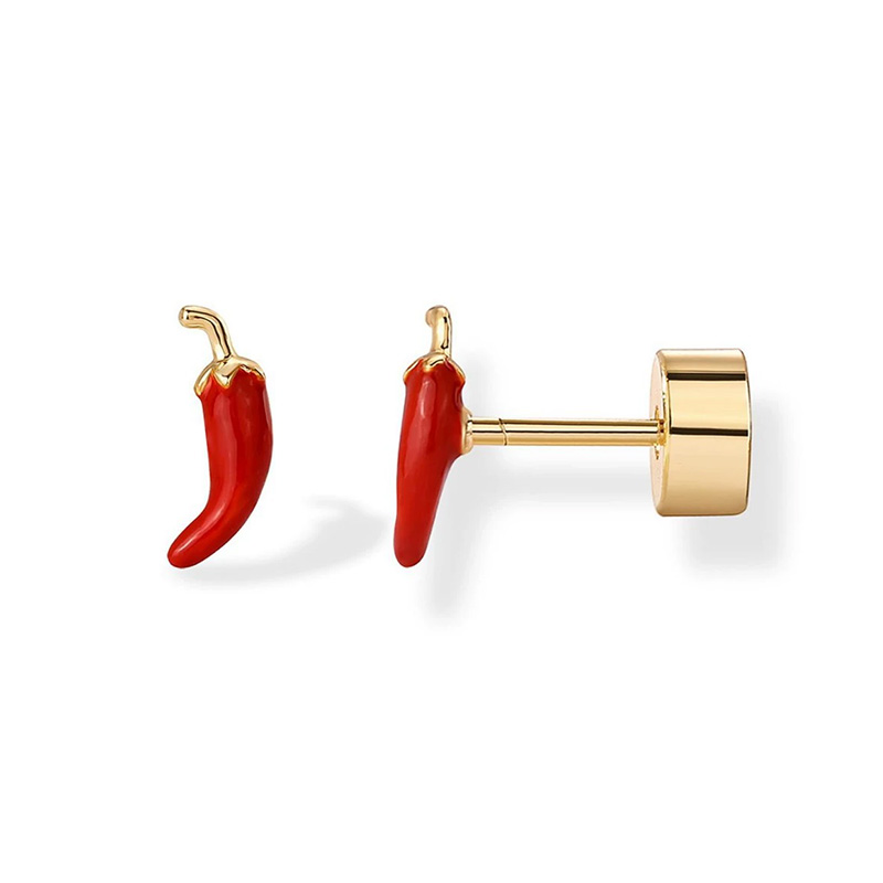 2 stuks kraakbeen oorbellen st - Body Jewelry Surgical Steel recensie en prijs
