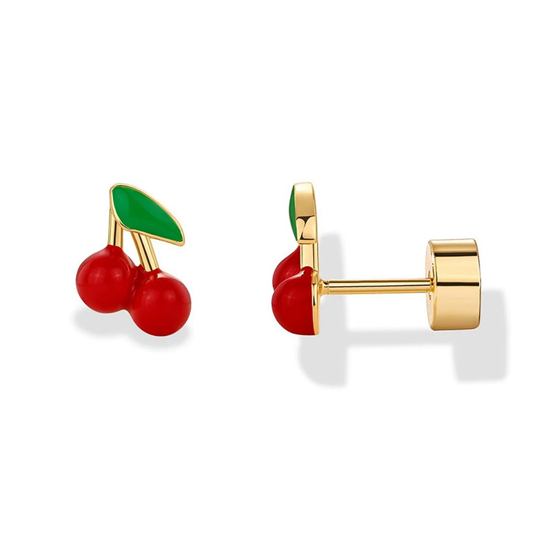 2 stuks kraakbeen oorbellen st - Body Jewelry Surgical Steel recensie en prijs