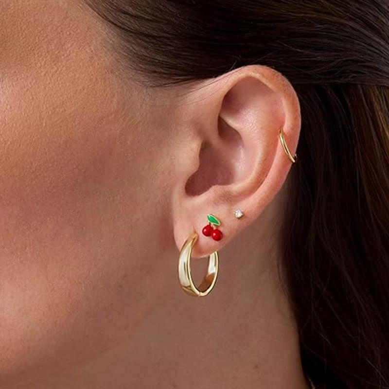 2 stuks kraakbeen oorbellen st - Body Jewelry Surgical Steel recensie en prijs